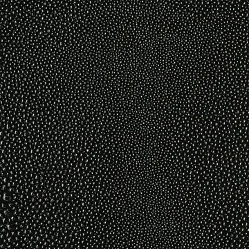 eel-black-textured-pattern