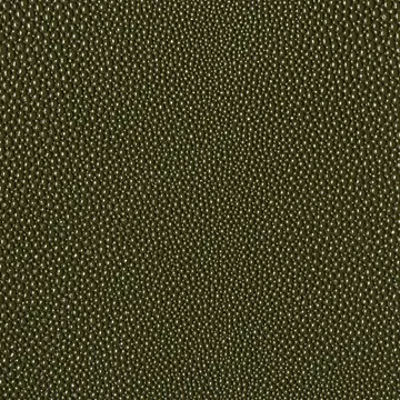 eel-cactus-textured-pattern