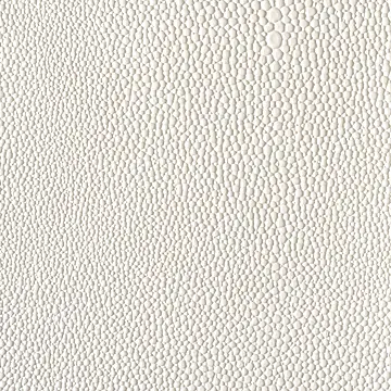 eel-white-textured-pattern