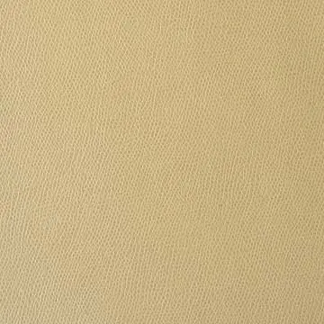 payson-butter-leatherette-upholstery-fabric